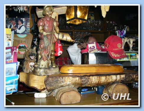 Der Schnapsbrunnen  von der Wildmoosalm